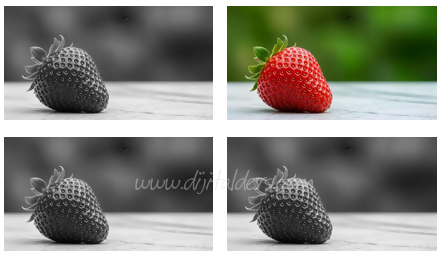 Dinamik İçerik Eklemek