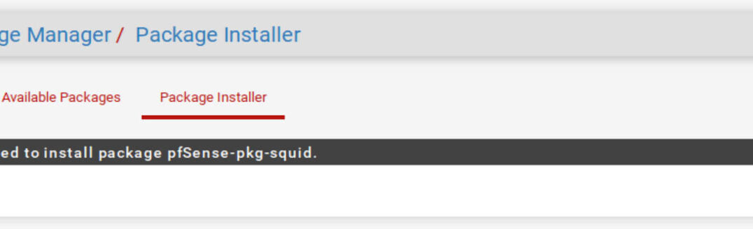 Pfsense Squid ve SquidGuard Paketlerinin Kurulması 2025